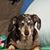Linda Finley's profile image