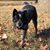 Kathy Searsen Schulte's profile image
