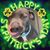 XCindi Cindi's profile image