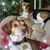 Kathryn Gepner's profile image