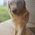 Isobel Burks's profile image