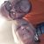 Ralph Risius Lana Risius's profile image