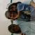 Pattie Bennett's profile image