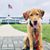 Karolyn Burger Nilsen's profile image