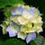 Jeannie Hilderbrand Sorrell's profile image
