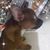 Yvonne Coleman Watson's profile image