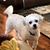 Nancy Getchell's profile image
