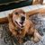 Kristine Keltner Hughes's profile image