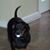 Maria Debellis Carter's profile image