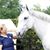 Jayne H Fingerhut's profile image