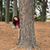 Sharee Lopez's profile image