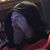 Darryl Quinlan's profile image