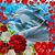 Donna Smith's profile image