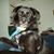 Janie Ginn's profile image