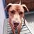 Todd Hager's profile image
