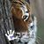 Christine Soileau's profile image