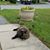 Nancy Resch Batchler's profile image