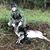 Billy Gullett's profile image