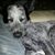 Gary Degolier's profile image