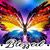 Bev Boyll's profile image