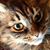 Linda M Kelly's profile image