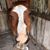 Traci Travella Bitler's profile image