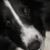Michele Stout Arnold's profile image