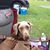 Mary D Riter's profile image