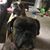 Jennifer Blose Gilmore's profile image