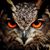 Elizabeth Stephens's profile image
