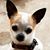 Sandy Jimerson's profile image