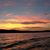 Helene Wade McDonough's profile image