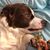 Nina DeSantis's profile image