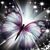Dianne Culbertson's profile image