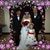 Brian Curcuro's profile image