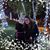 Andrea Dienes's profile image