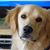 Anke MacCardle's profile image