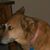 Steve Budzinski's profile image