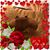 Gloria Murphy Sherman's profile image