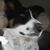 Roni Helser-Olin's profile image