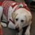 Amy Olson's profile image