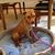 Mary Shewell's profile image