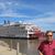 Dennis Hibbs's profile image