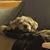 John Sisler's profile image