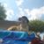 Kelly Lindenberg Stine's profile image