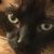 Susie Kthryn Cambre's profile image