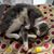 Marybeth Baugh's profile image