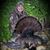 Jeremy Patch Groeschl's profile image