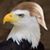 Micheline Holladay's profile image