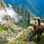 Ivan J Rimach's profile image